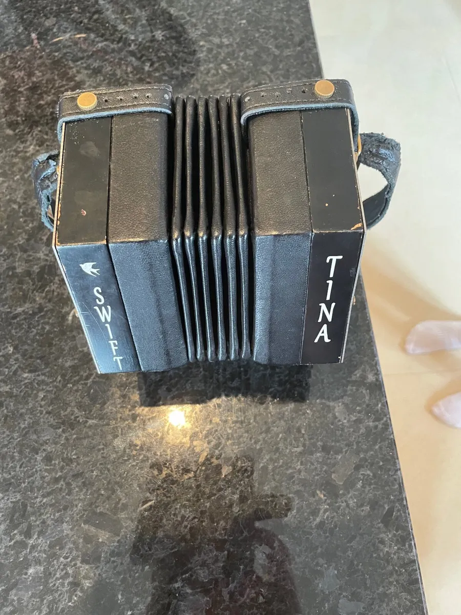 Concertina - Image 4