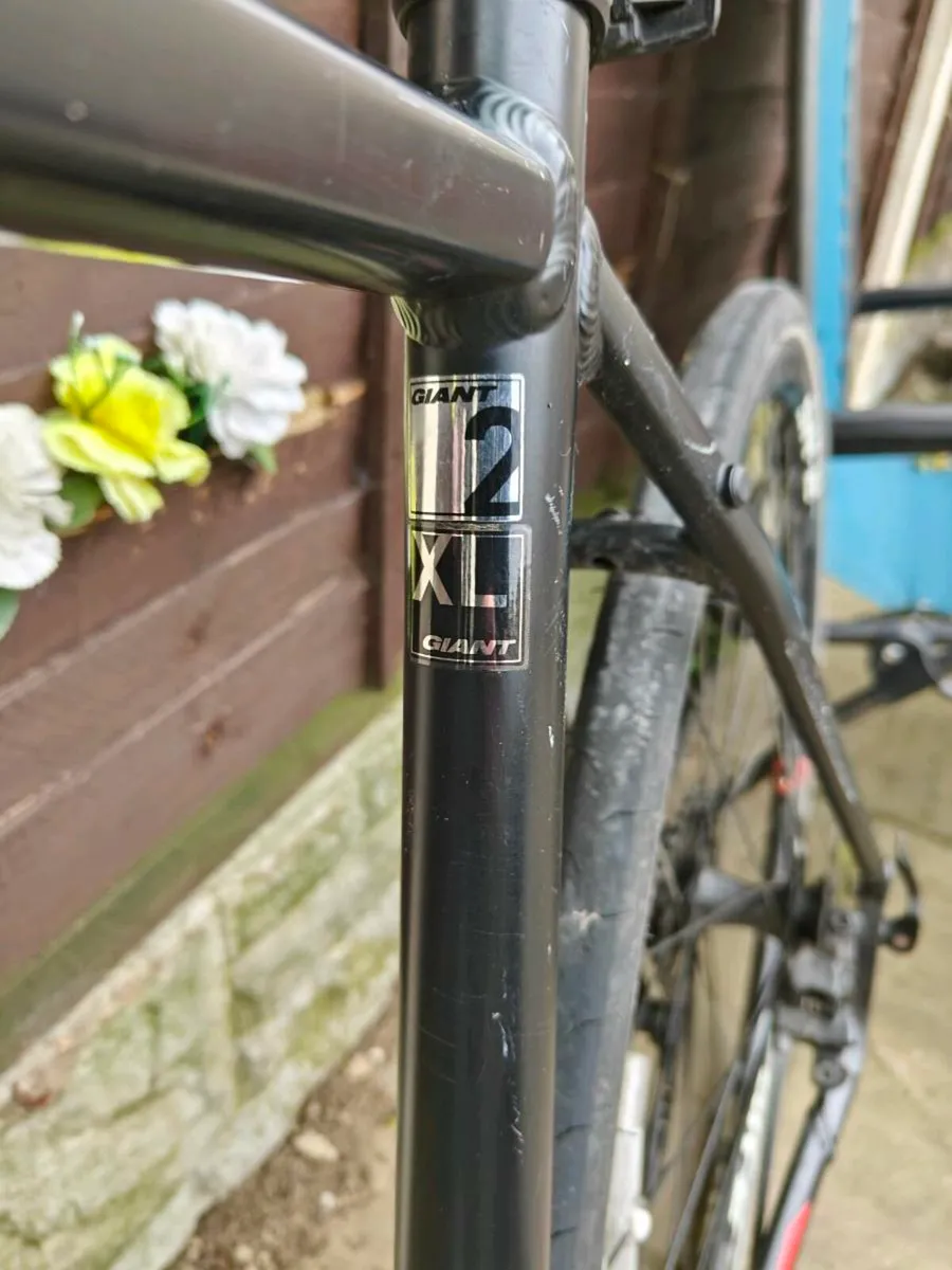 Giant Rapid 2 XL - Image 4