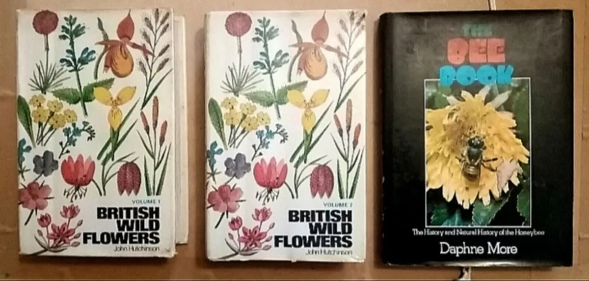 Three Vintage Wildflowers and Bee Books