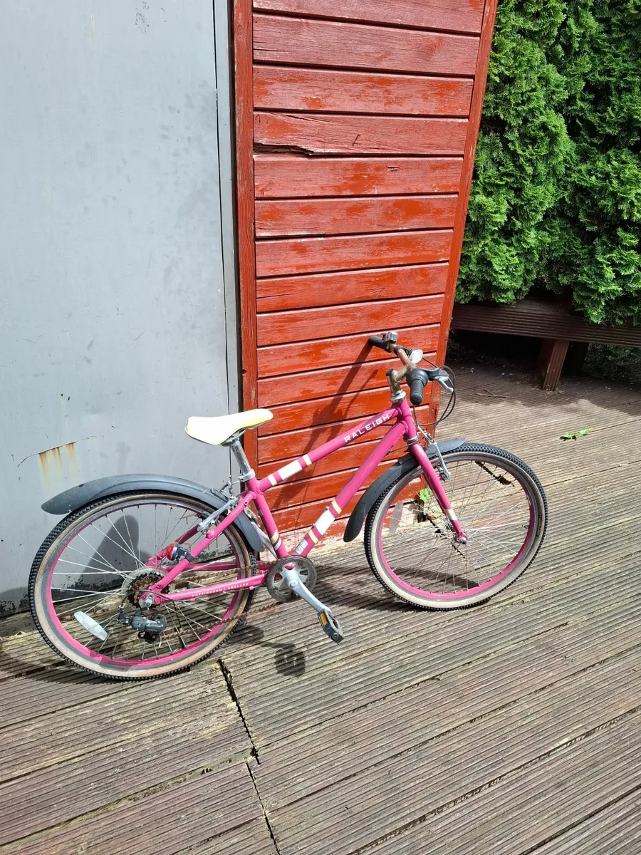 Girls Raleigh Bicycle - Image 2