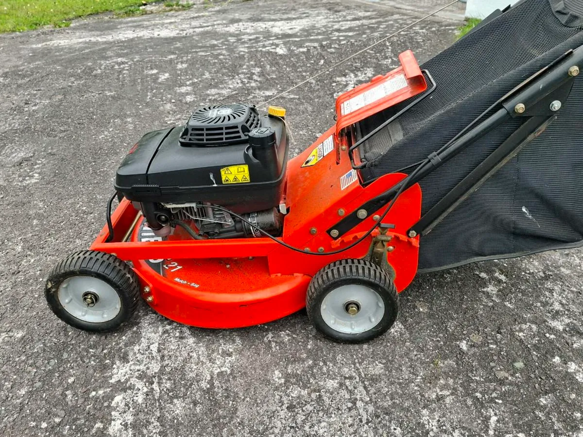 Lawnmower - Image 2