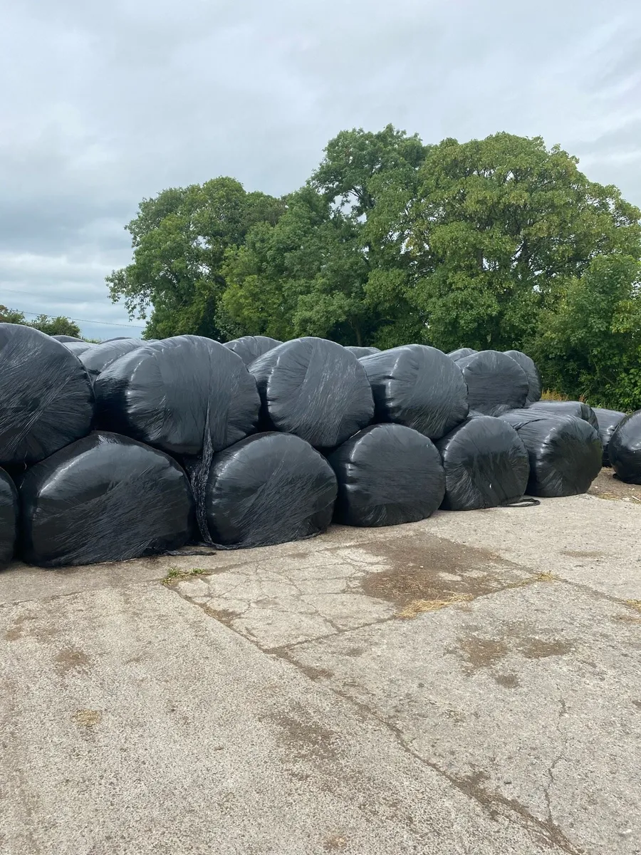100 Silage bales