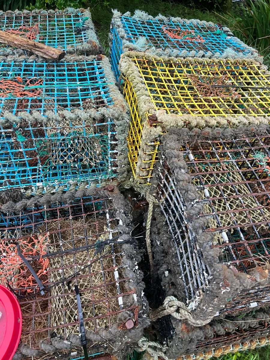 Lobster Crab Pots - Image 1