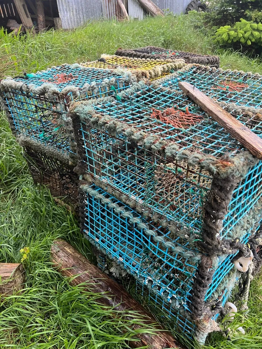 Lobster Crab Pots - Image 2