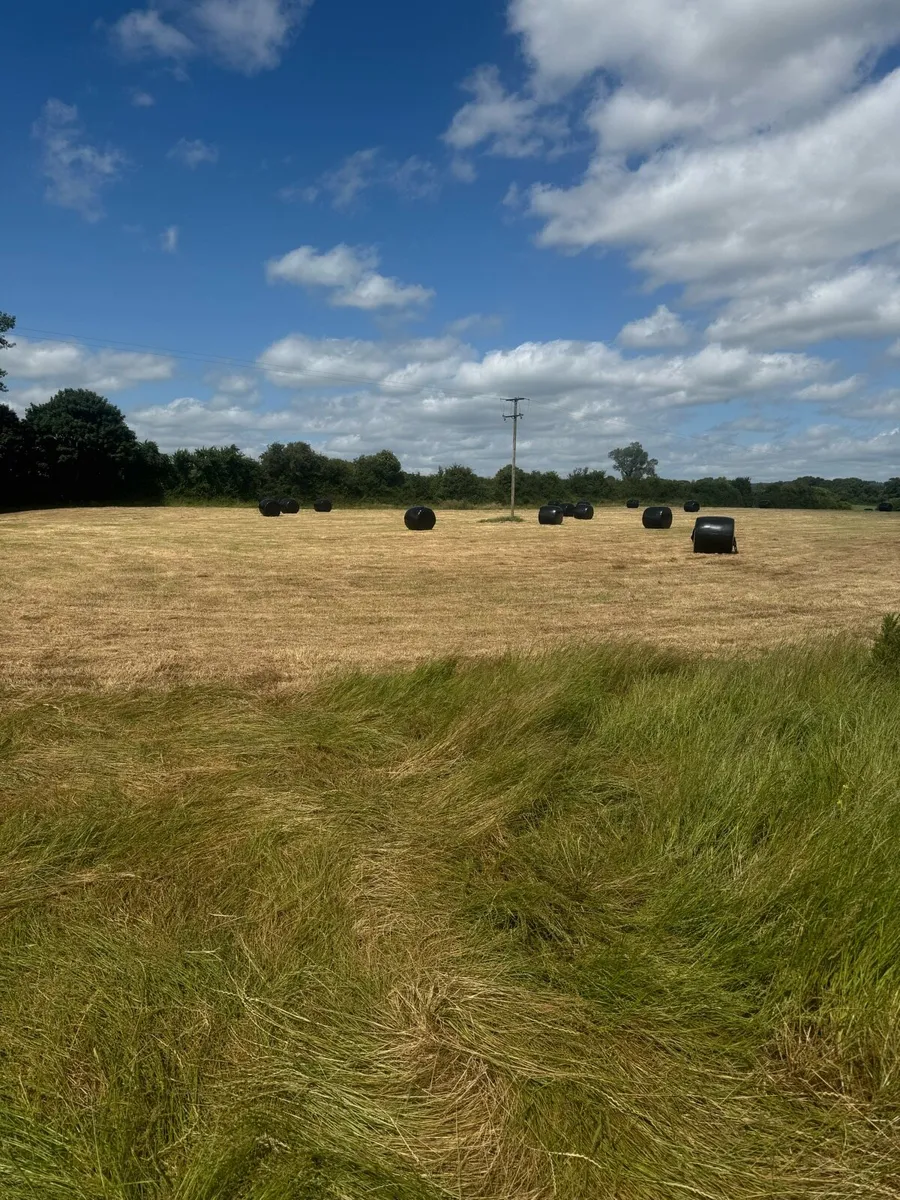 Haylage - Image 2