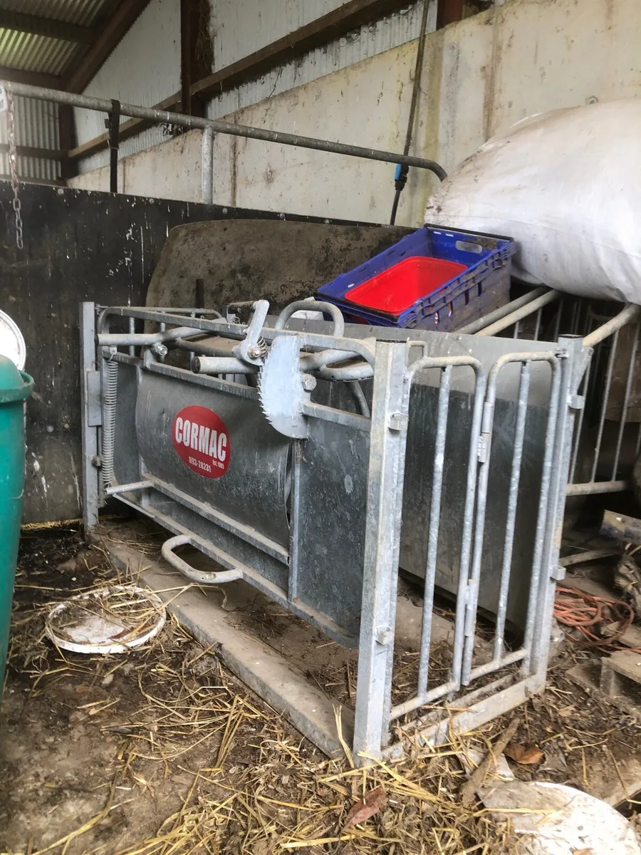 Turn over crate - Image 1