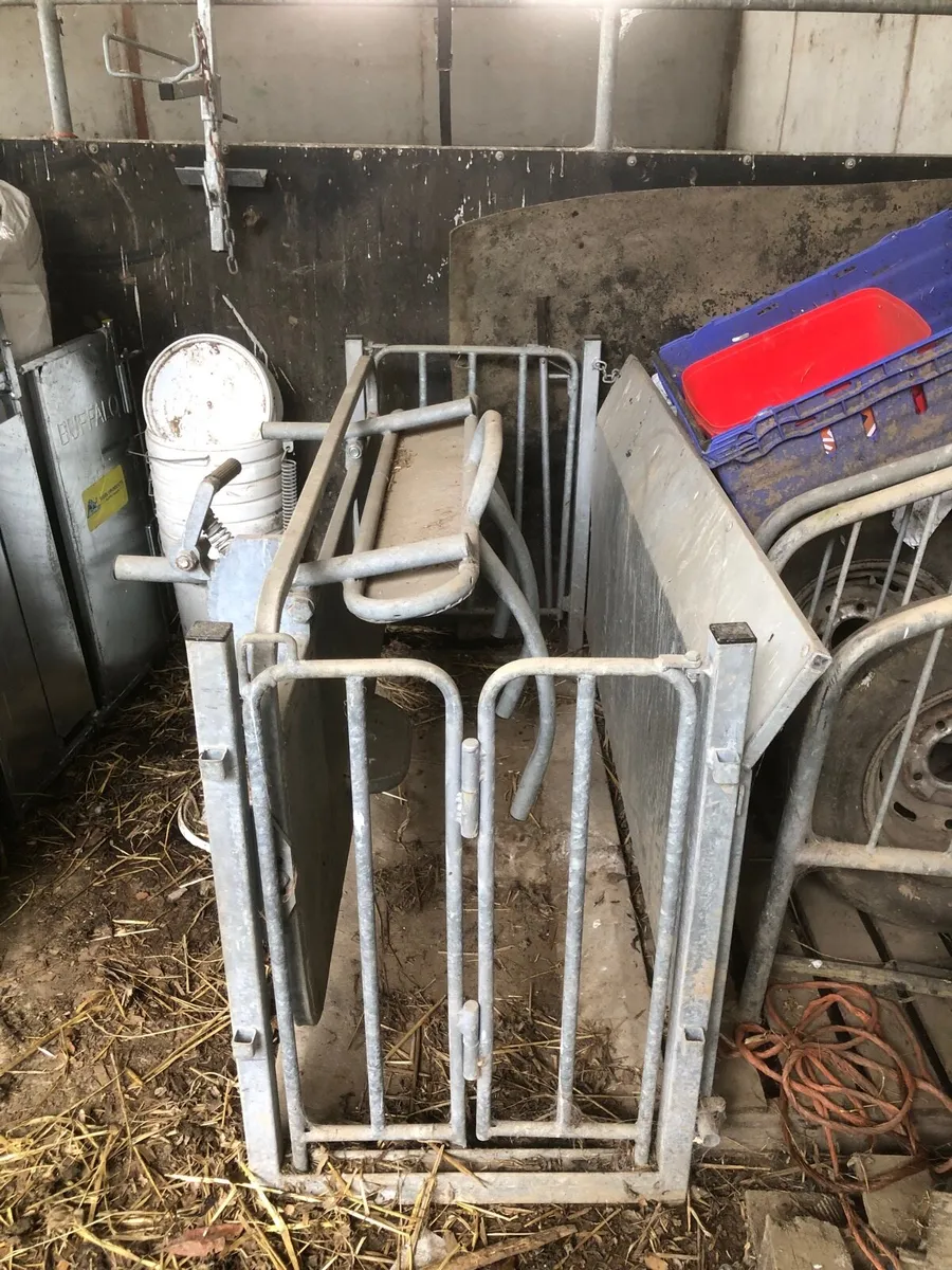 Turn over crate - Image 2