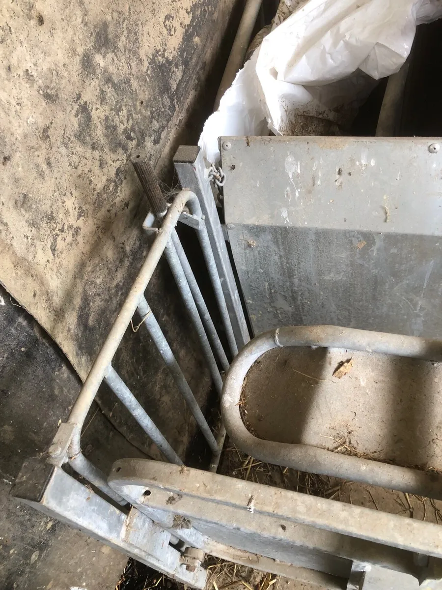 Turn over crate - Image 3