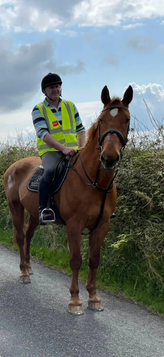Horse - Image 4