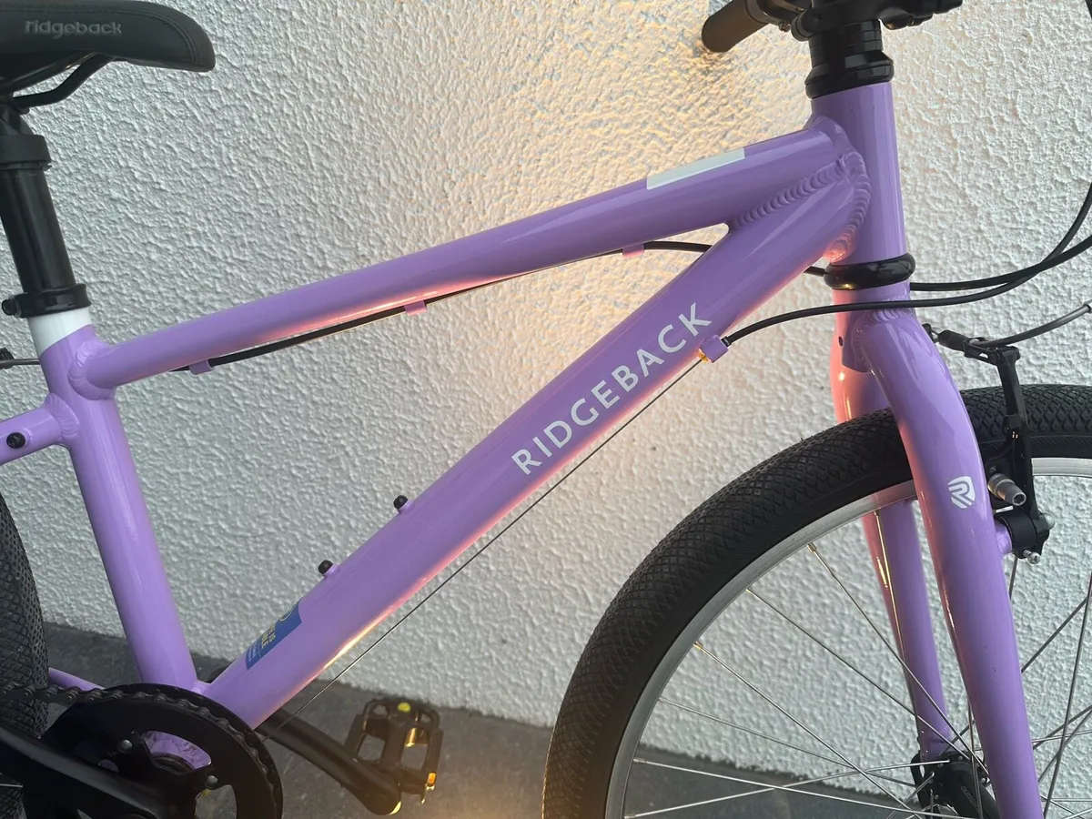 Girls 24” Ridgeback Bike - Image 4