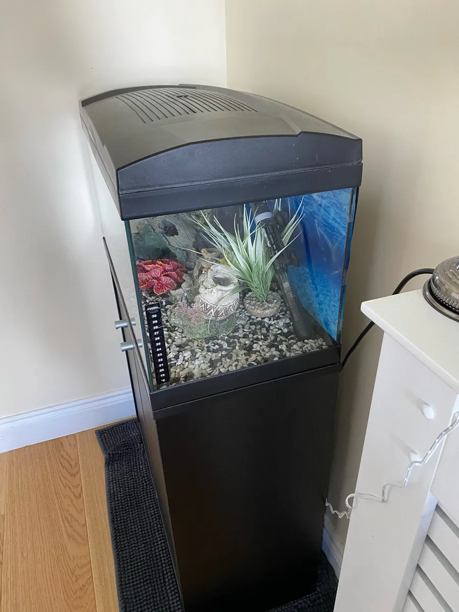 Marina Premium Fish Aquarium Set - 56L - Image 3