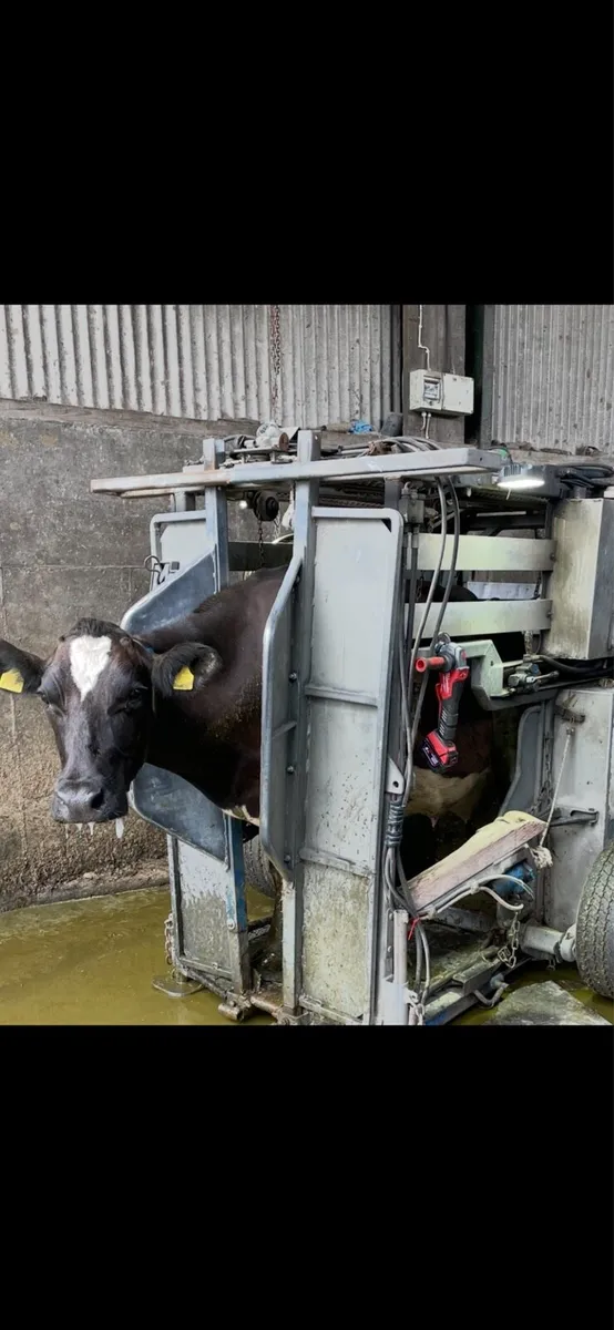 Hoof trimming - Image 1