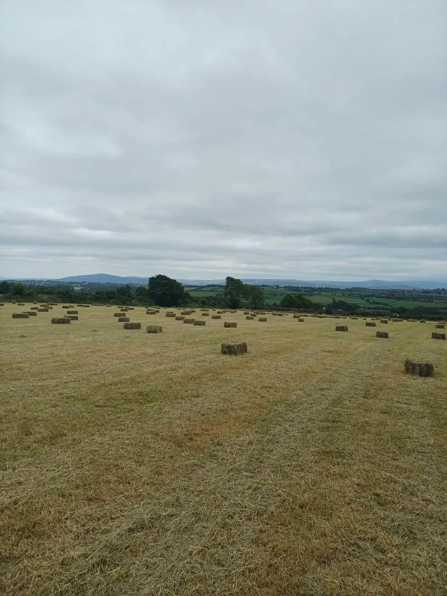 Square Hay bales - Image 3