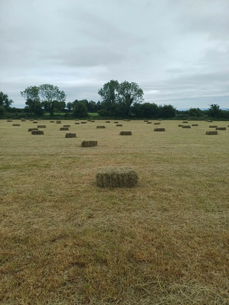 Square Hay bales - Image 4