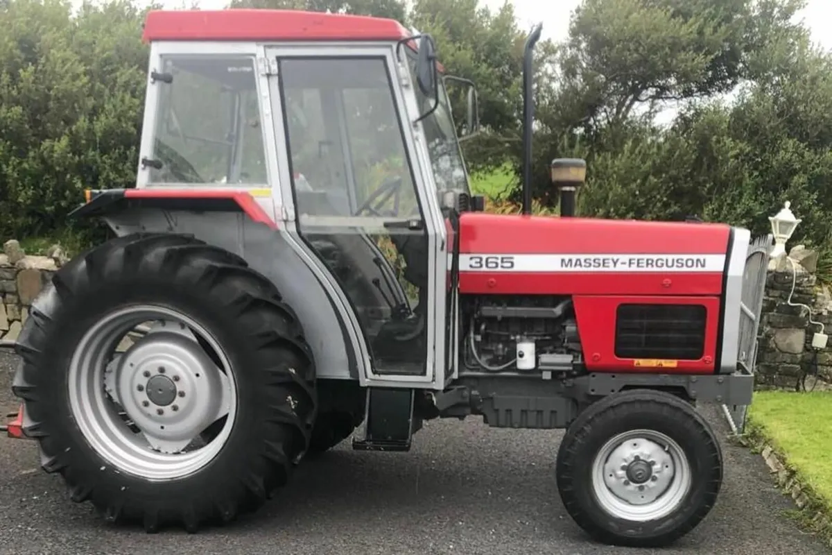 Massey Ferguson Other 1989 - Image 3