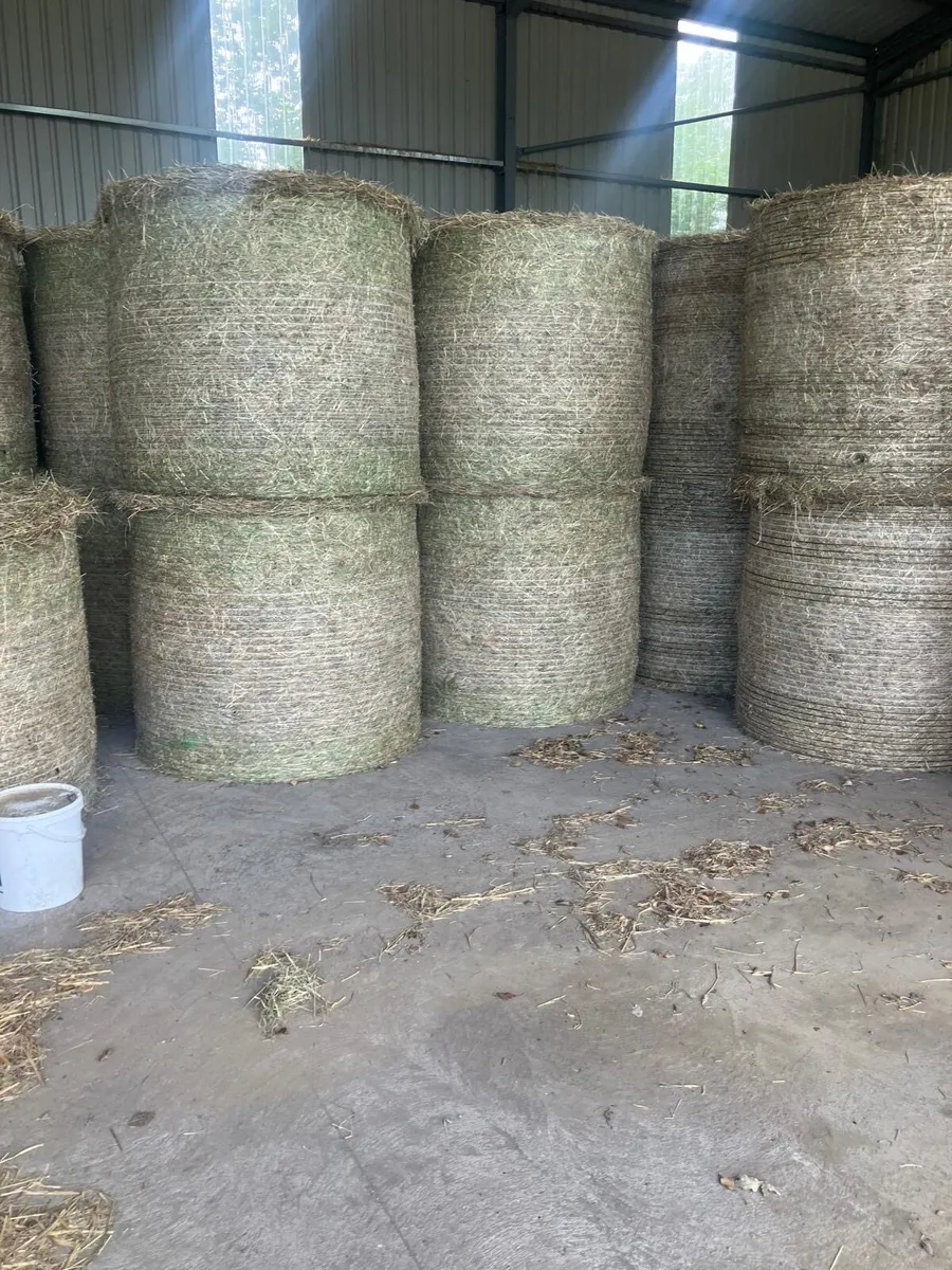 Hay - Image 1