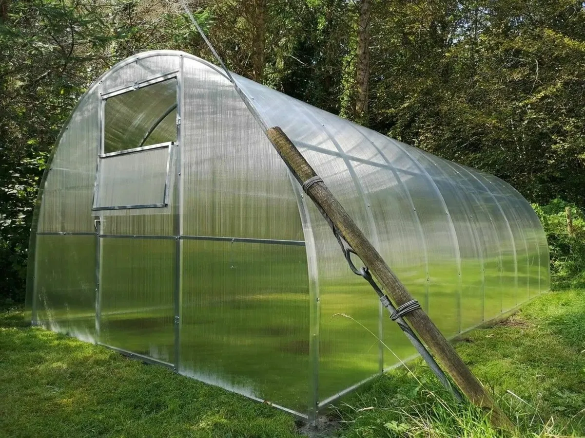 AG Polycarbonate Greenhouse/Polytunnel - Image 3