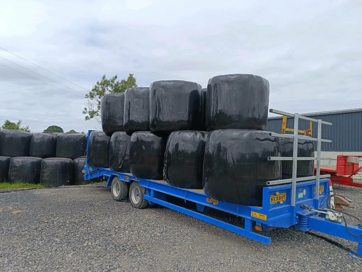 Haylage - Image 1