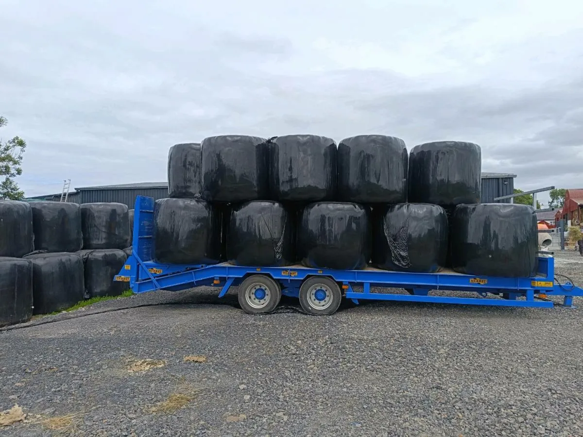 Haylage - Image 2