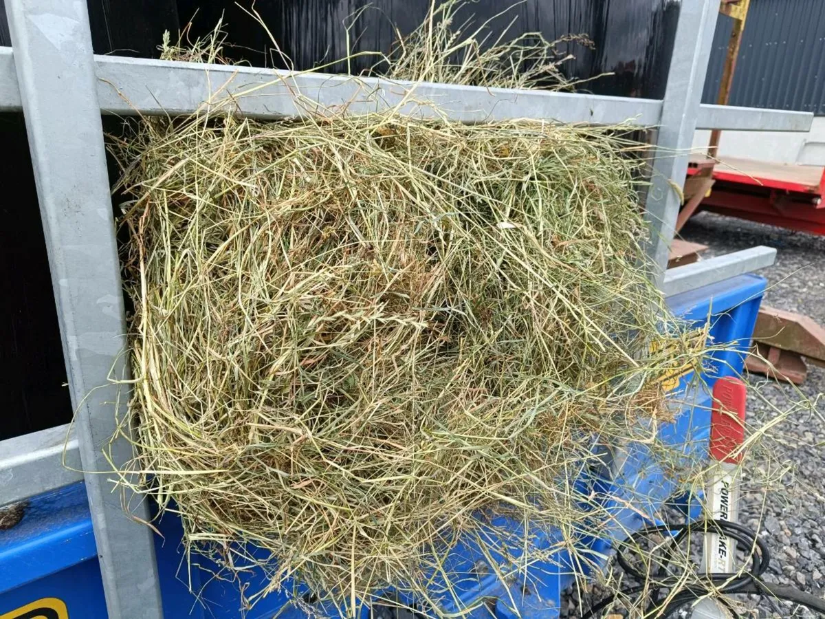 Haylage - Image 3