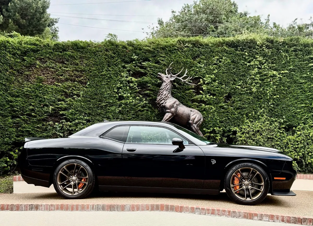 DODGE CHALLENGER HELLCAT 6.2 MANUAL 717BHP - Image 4