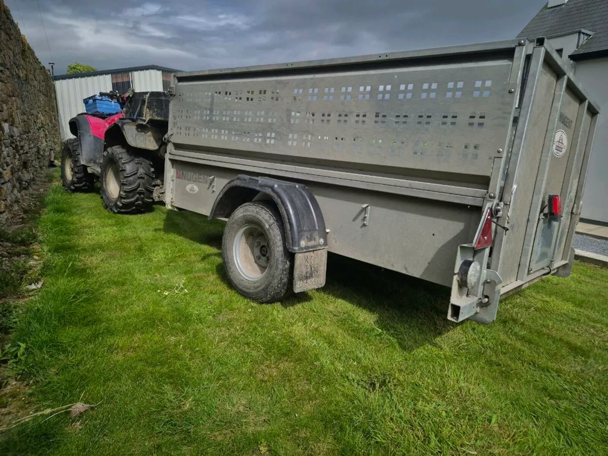 Honda 500 quad, 2010 and Nugent quad trailer - Image 4