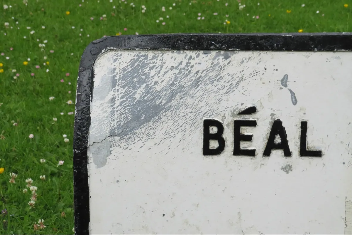 vintage road sign for BALLYPOREEN 1950'S-1960's - Image 2