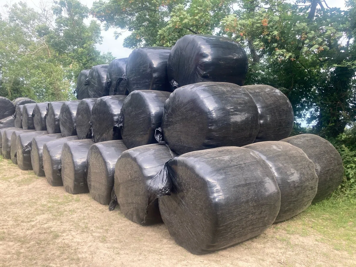Good Quality Haylage Double-Wrapped - Image 1