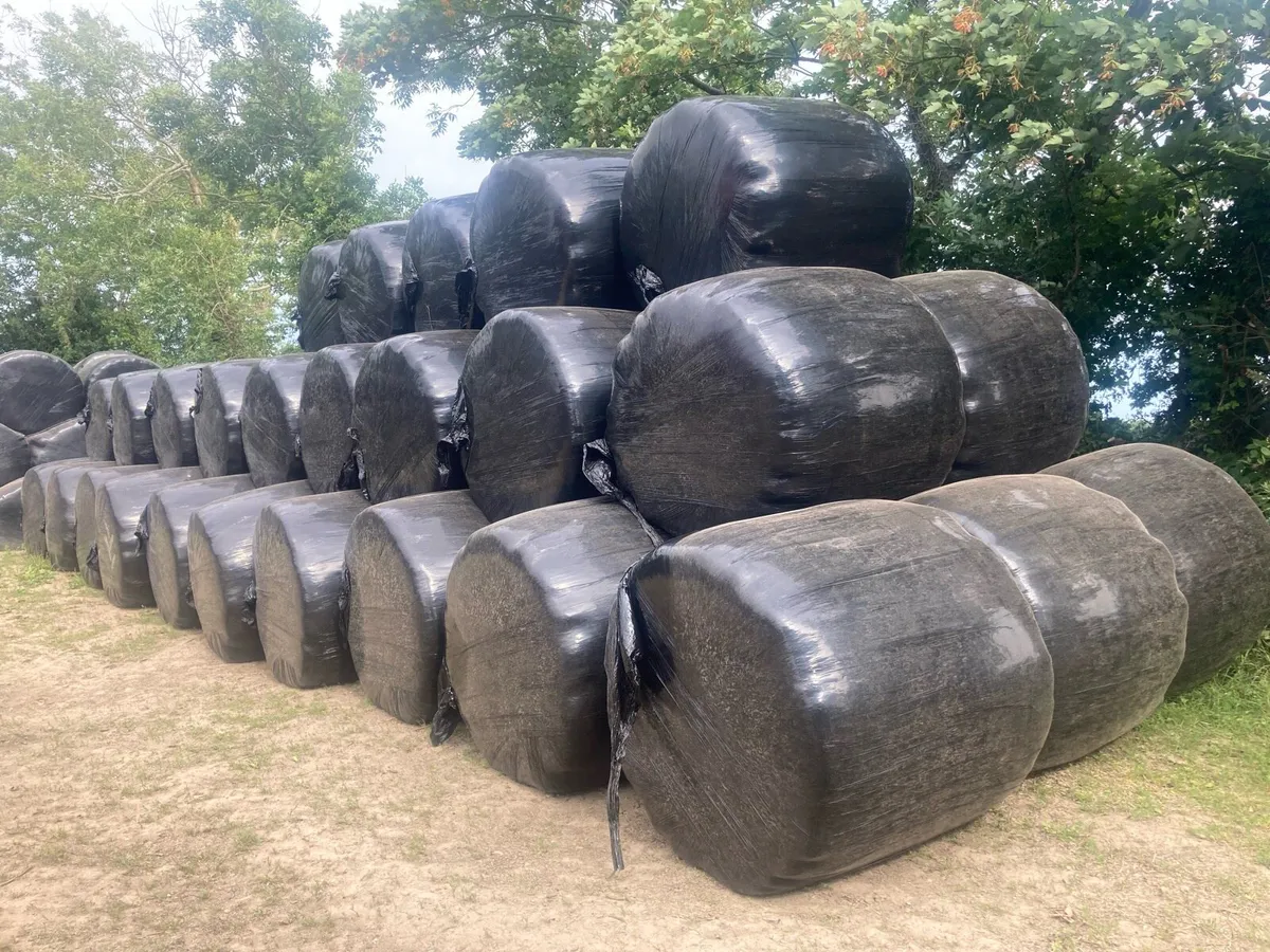 Good Quality Haylage Double-Wrapped - Image 2