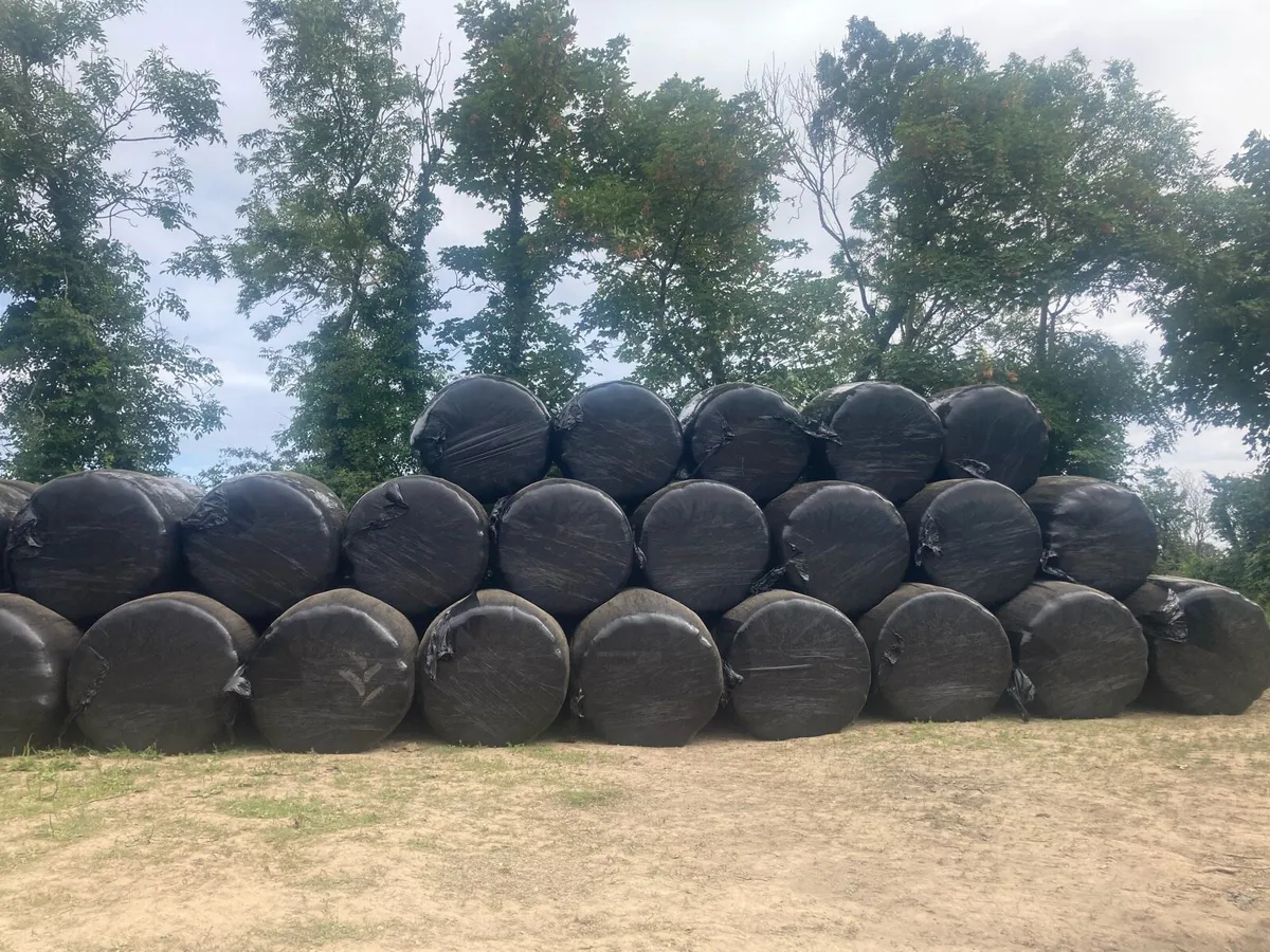 Good Quality Haylage Double-Wrapped - Image 4