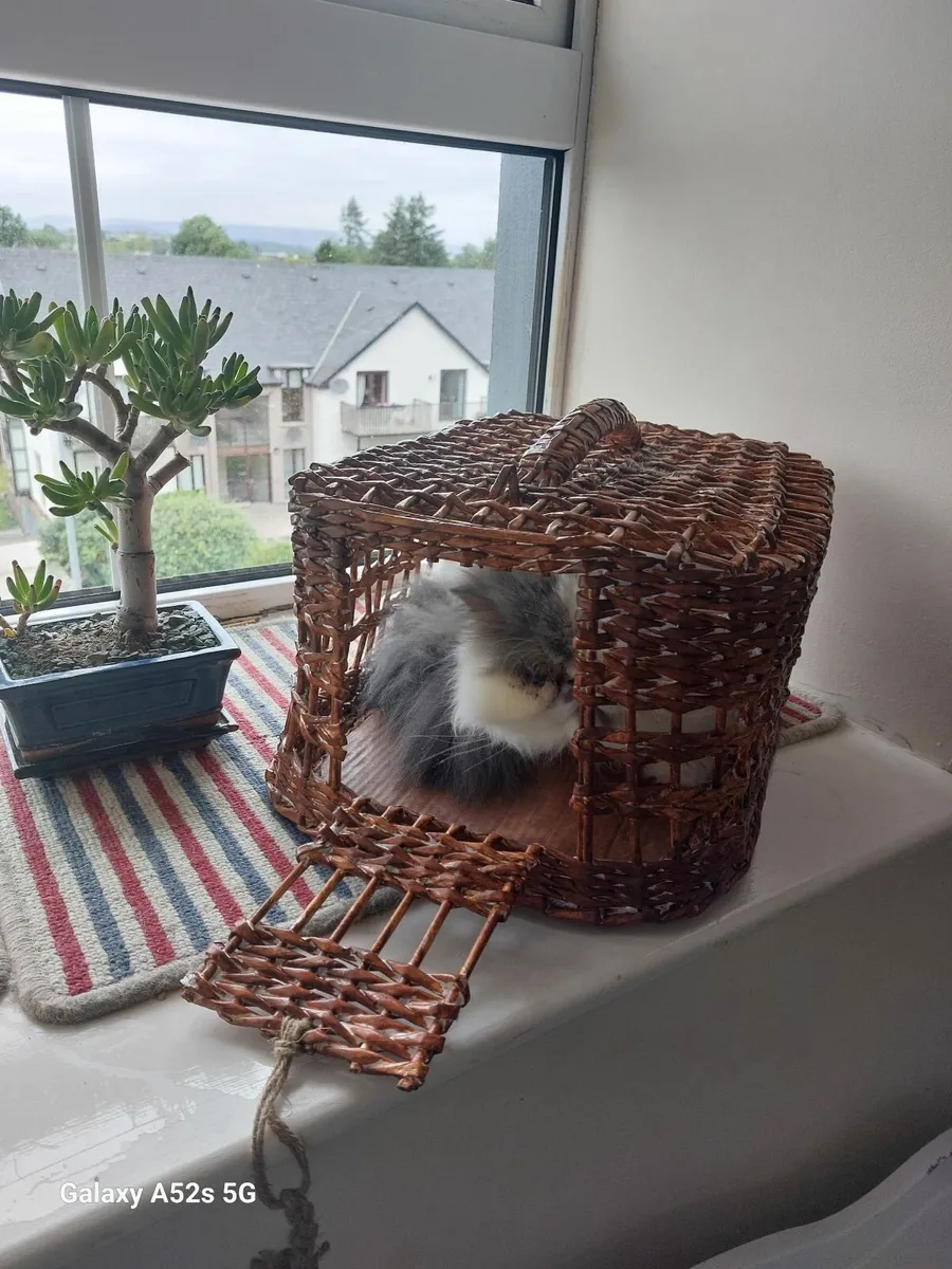 Cat carrier - Image 1