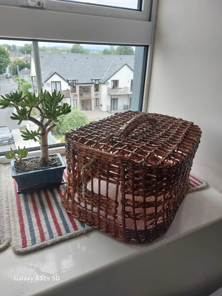 Cat carrier - Image 2