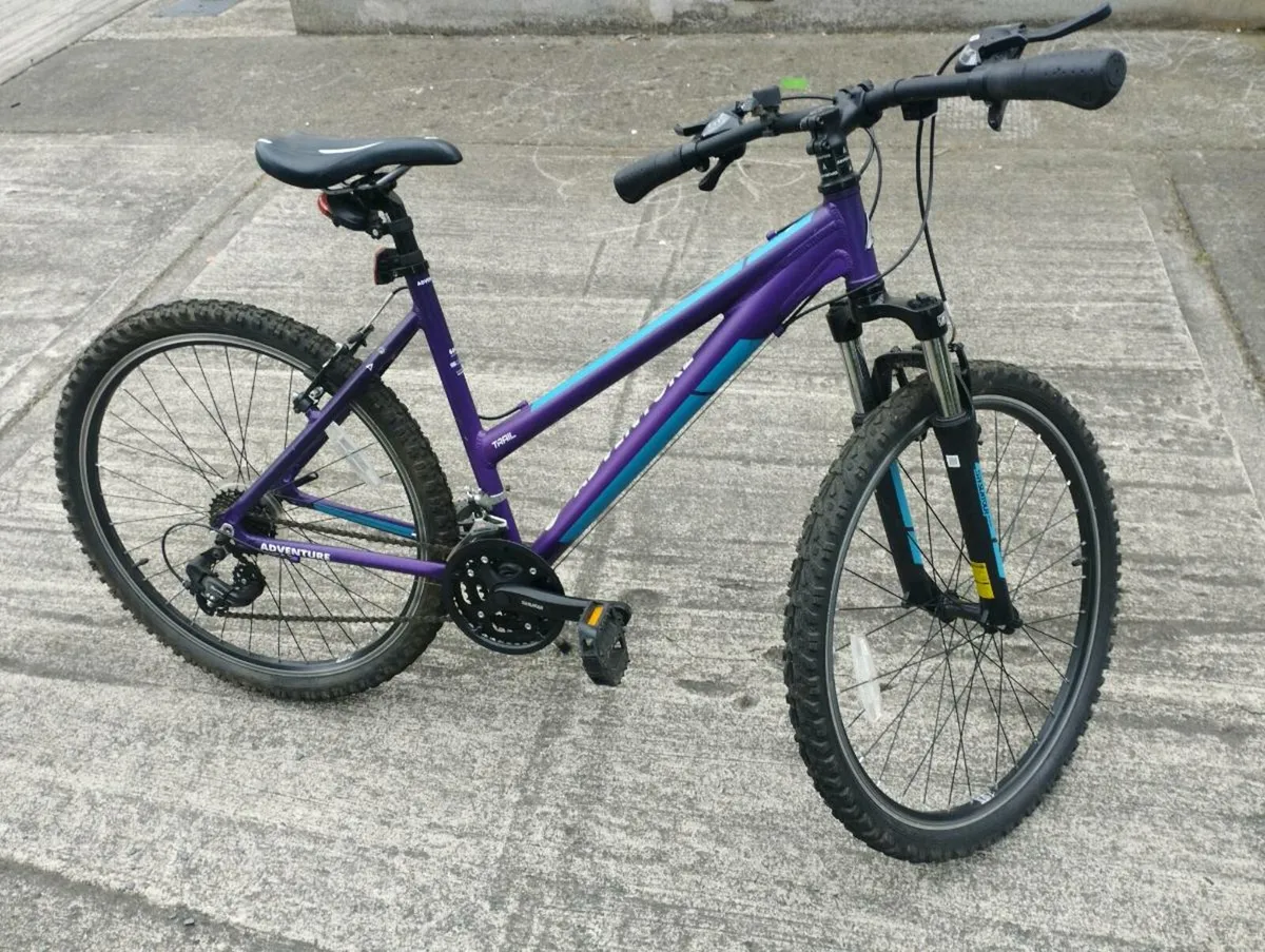 Bicycle - Image 1