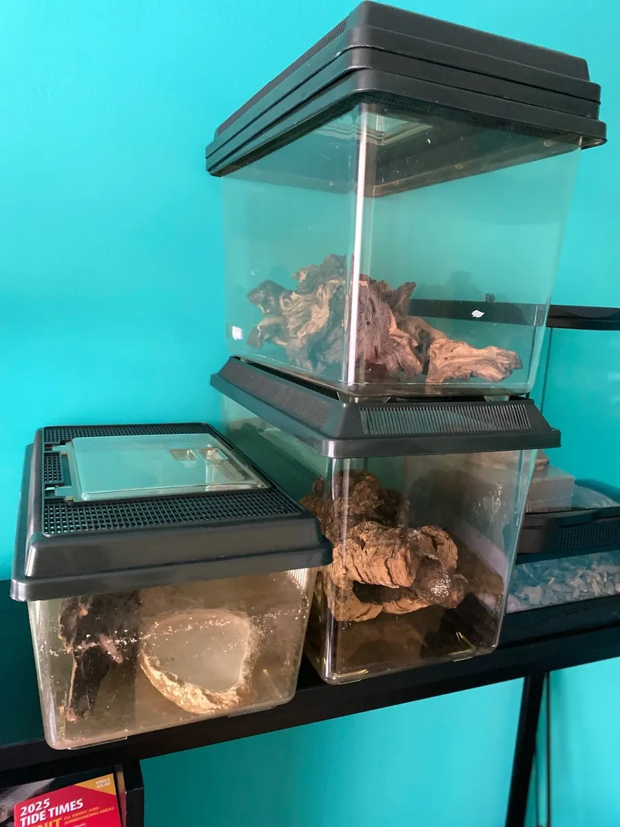 Heating cabinet for reptiles - Image 4