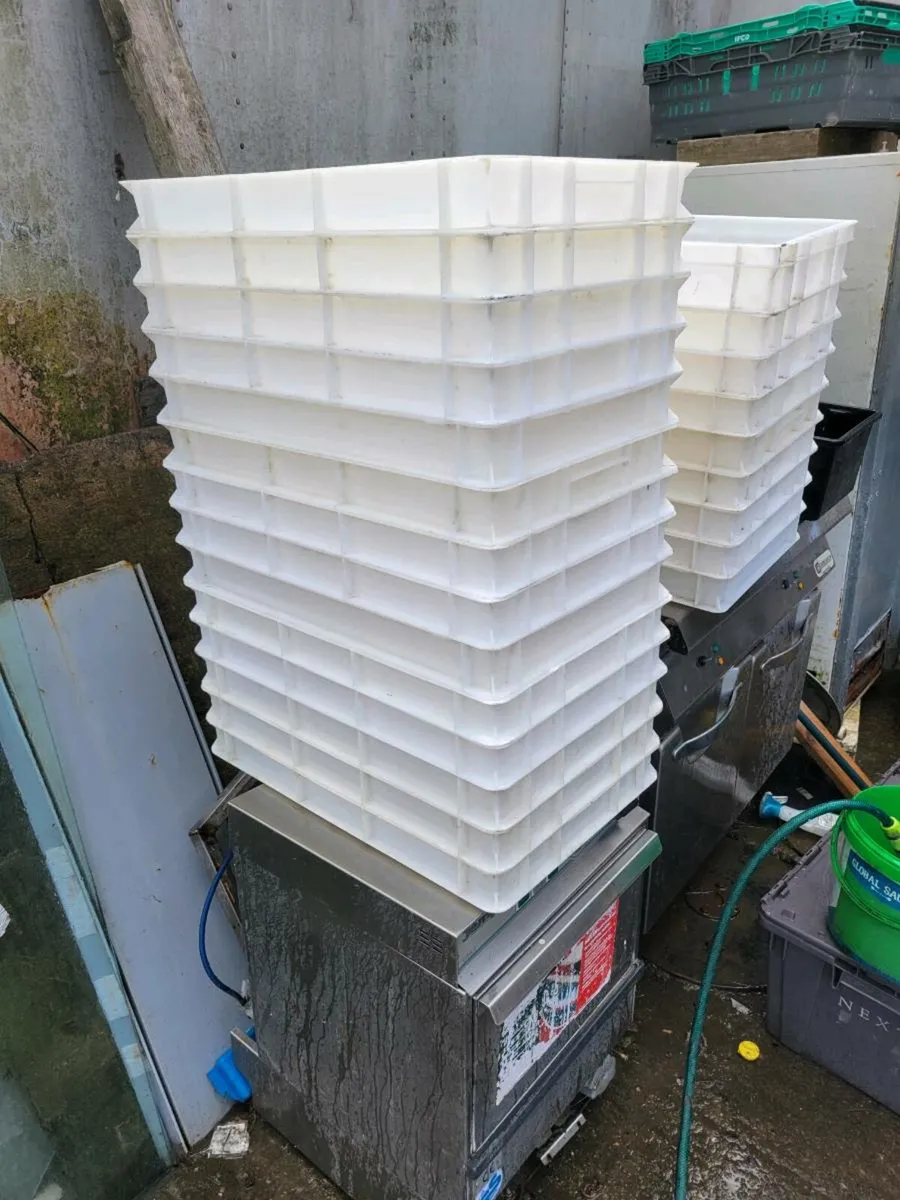 Pizza Dough Boxes - Image 1