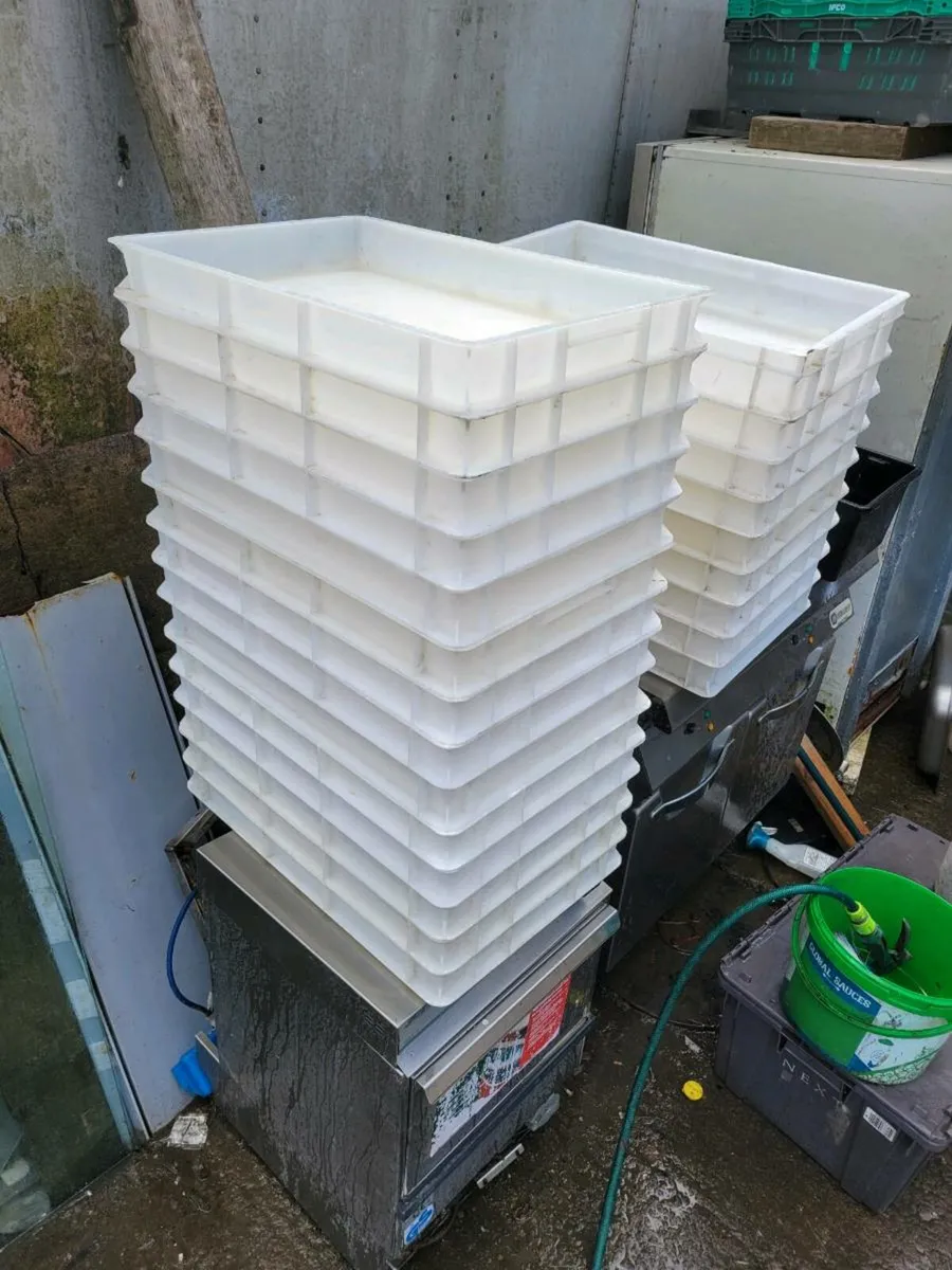 Pizza Dough Boxes - Image 2