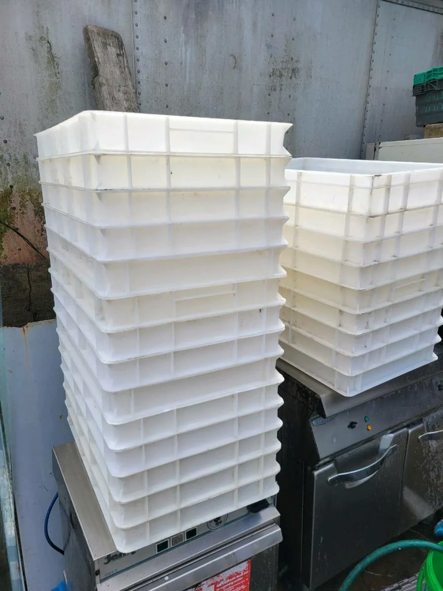 Pizza Dough Boxes - Image 3