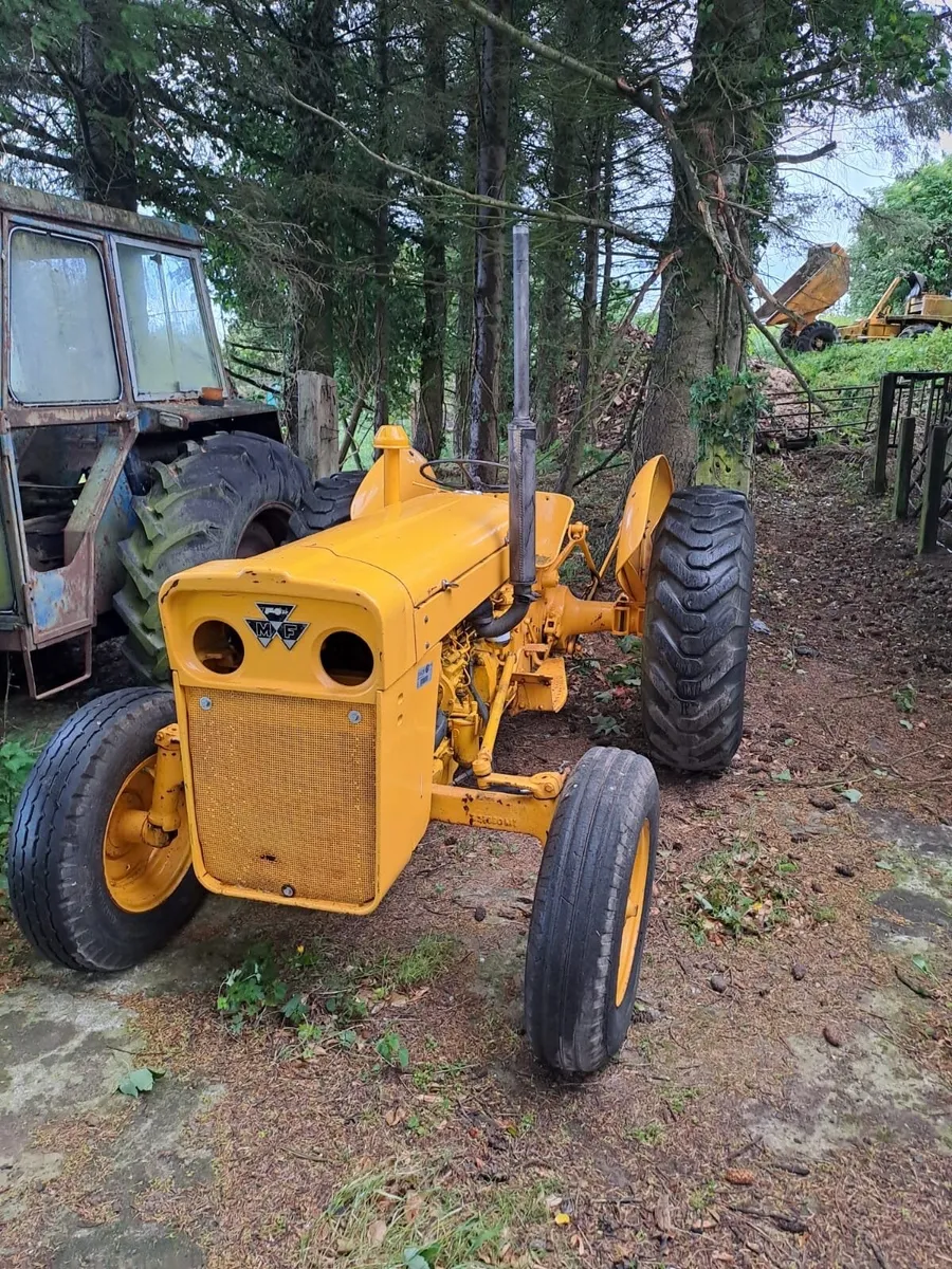 Yard Clearance - Image 4
