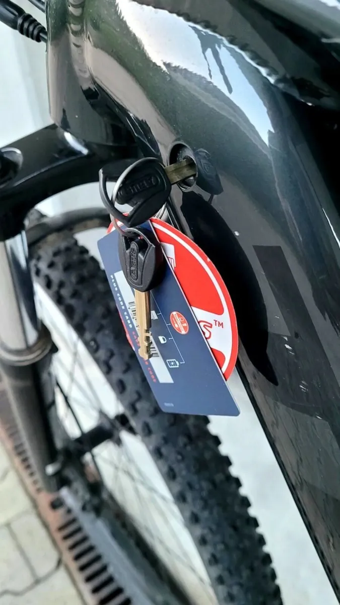 Trek Powerfly 4 Gen 3 2023 Warranty & Accessories - Image 3