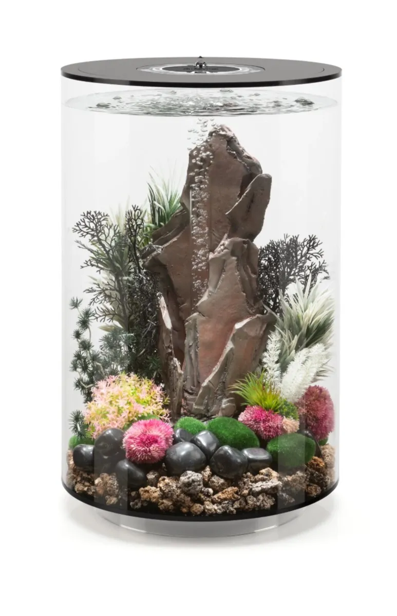 Fish Tank