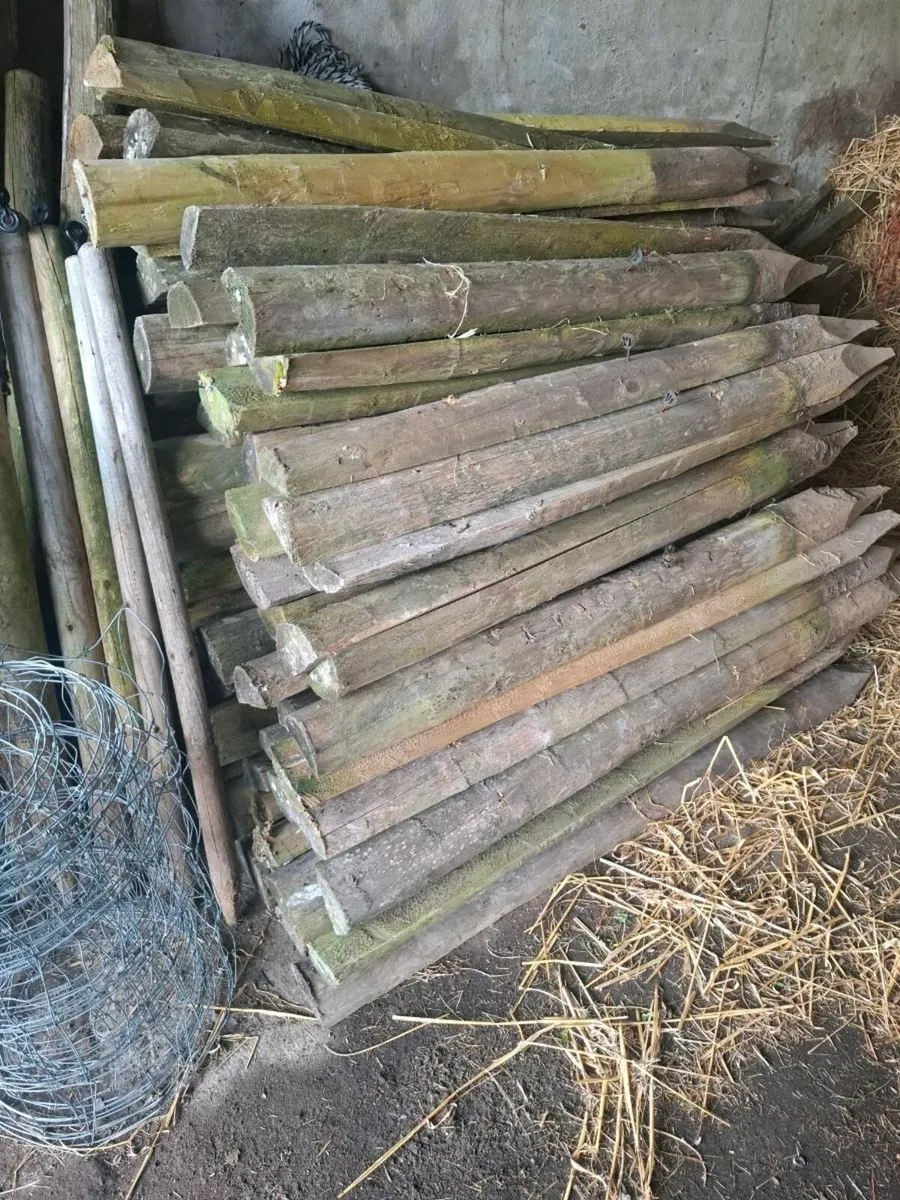 Stakes - Image 1