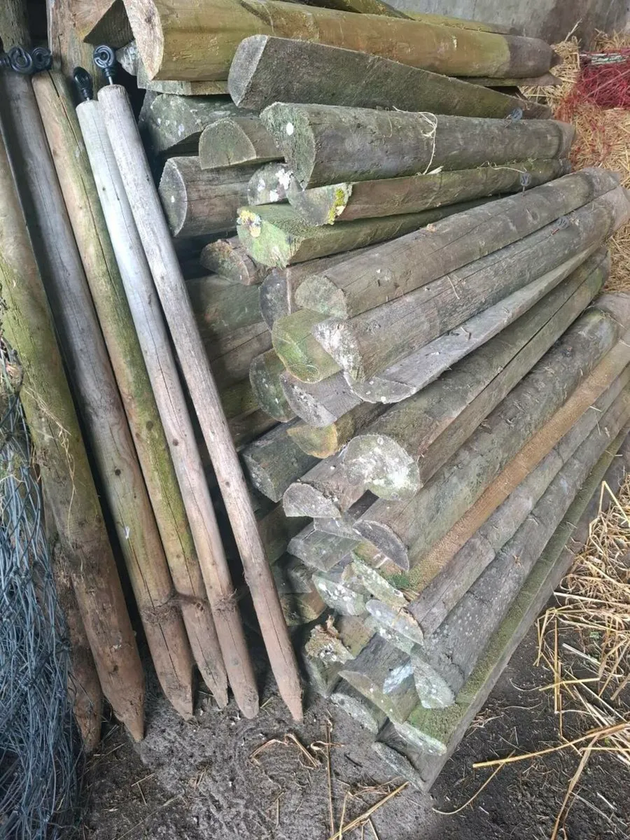 Stakes - Image 3
