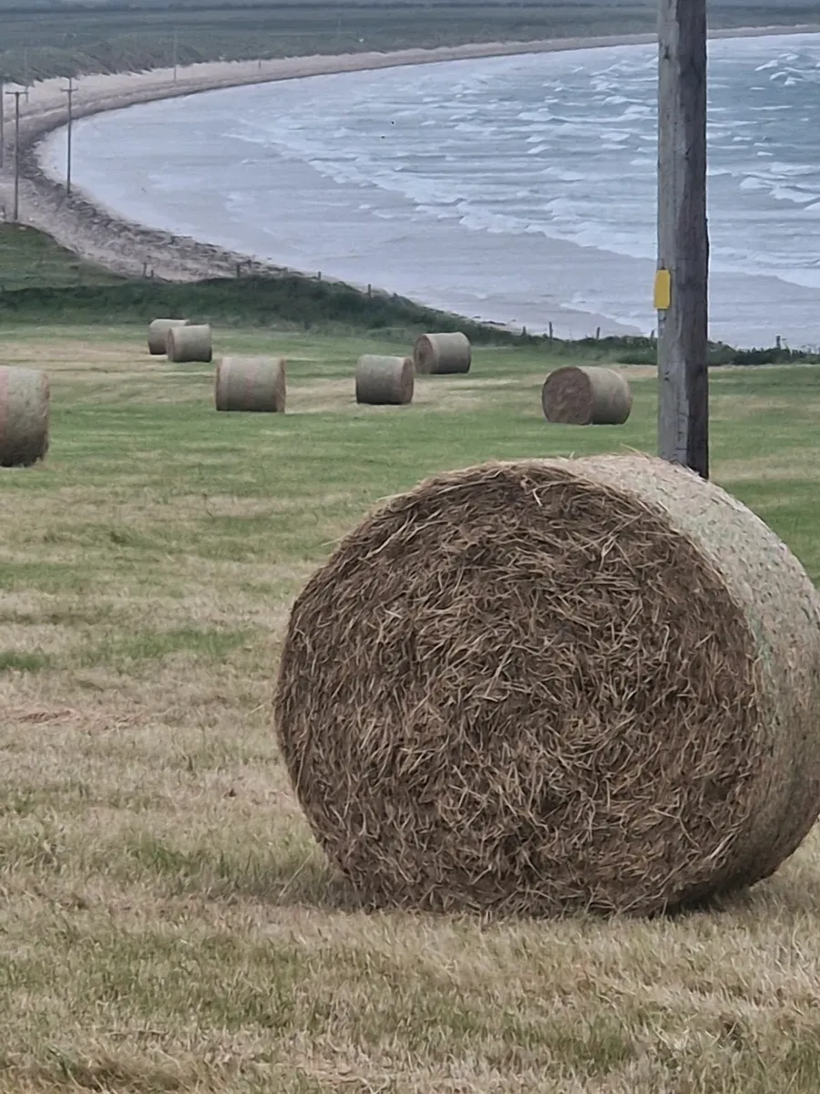 Hay bales - Image 1