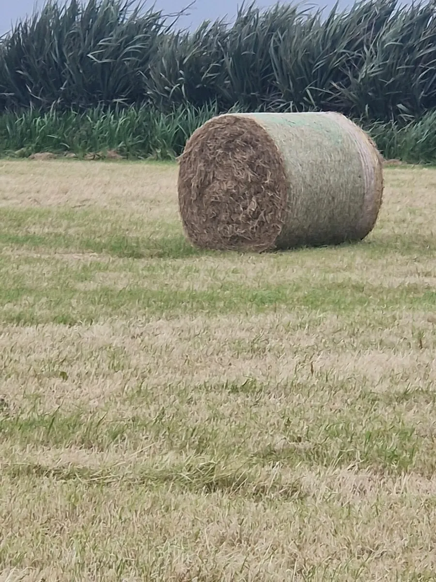 Hay bales - Image 2
