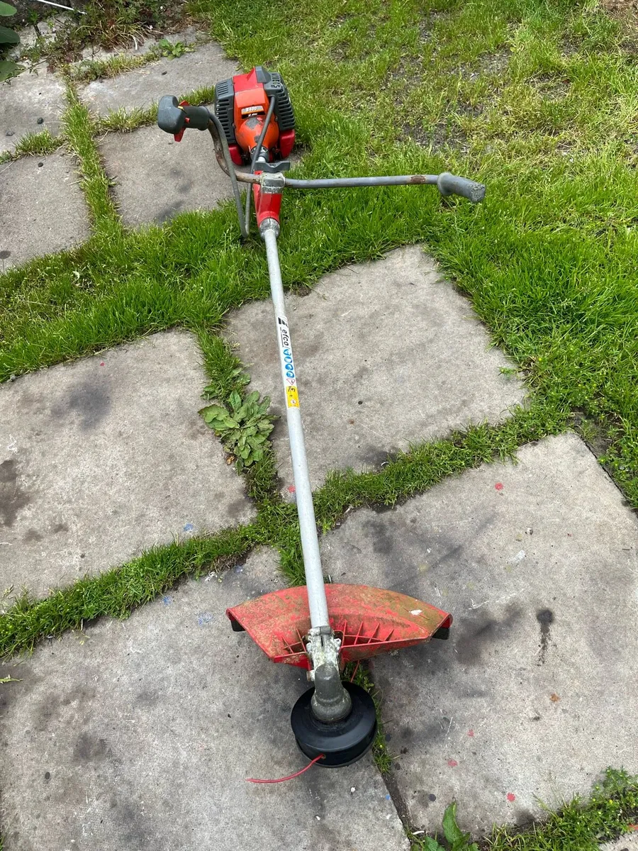Strimmer - Image 1