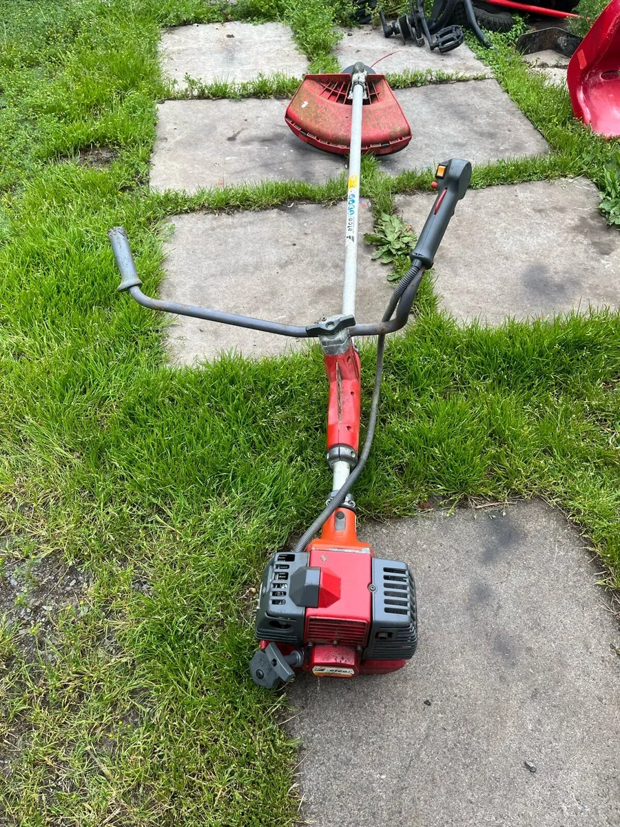 Strimmer - Image 2