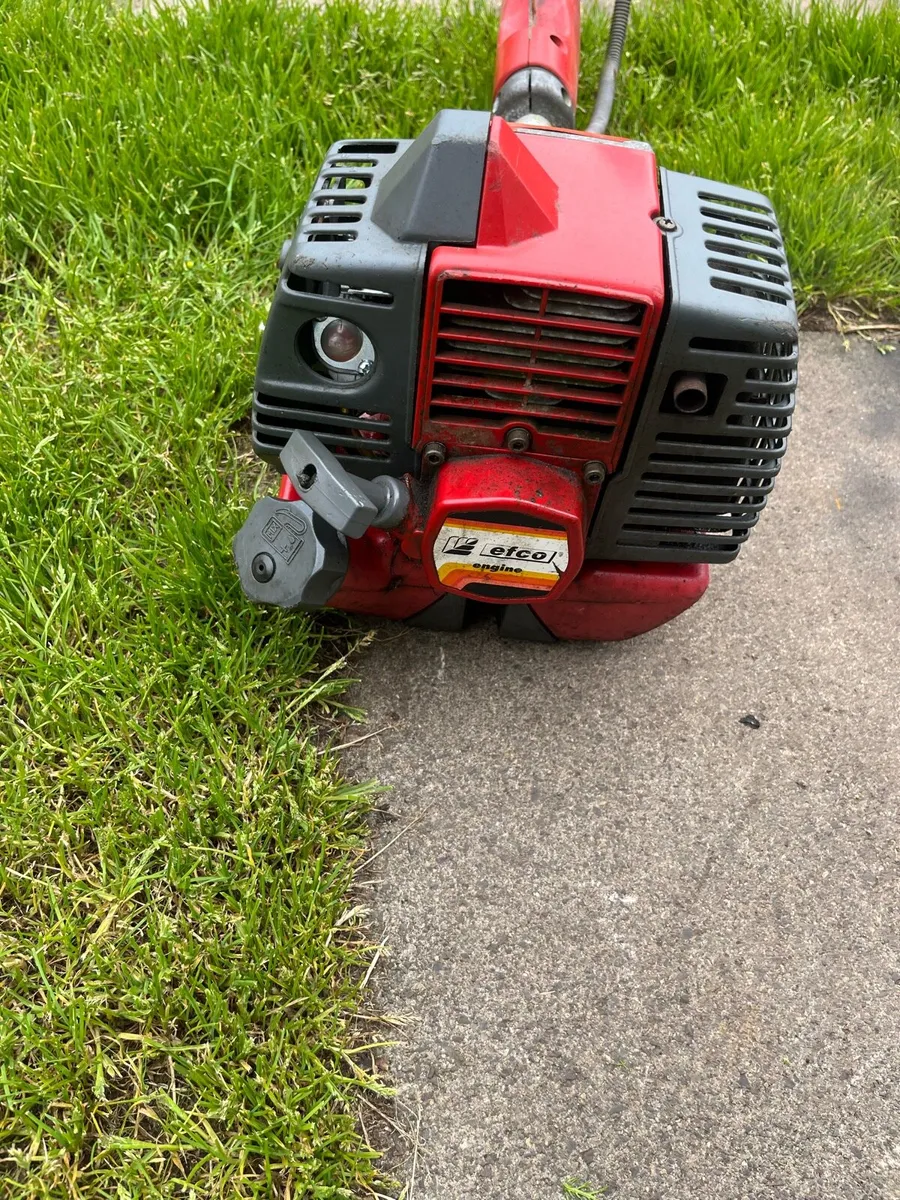 Strimmer - Image 3