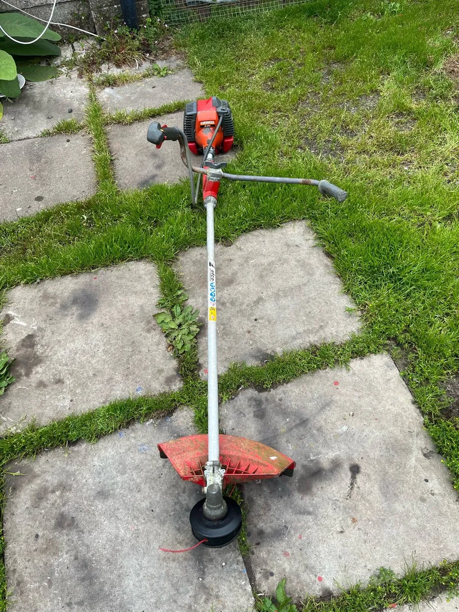 Strimmer - Image 4