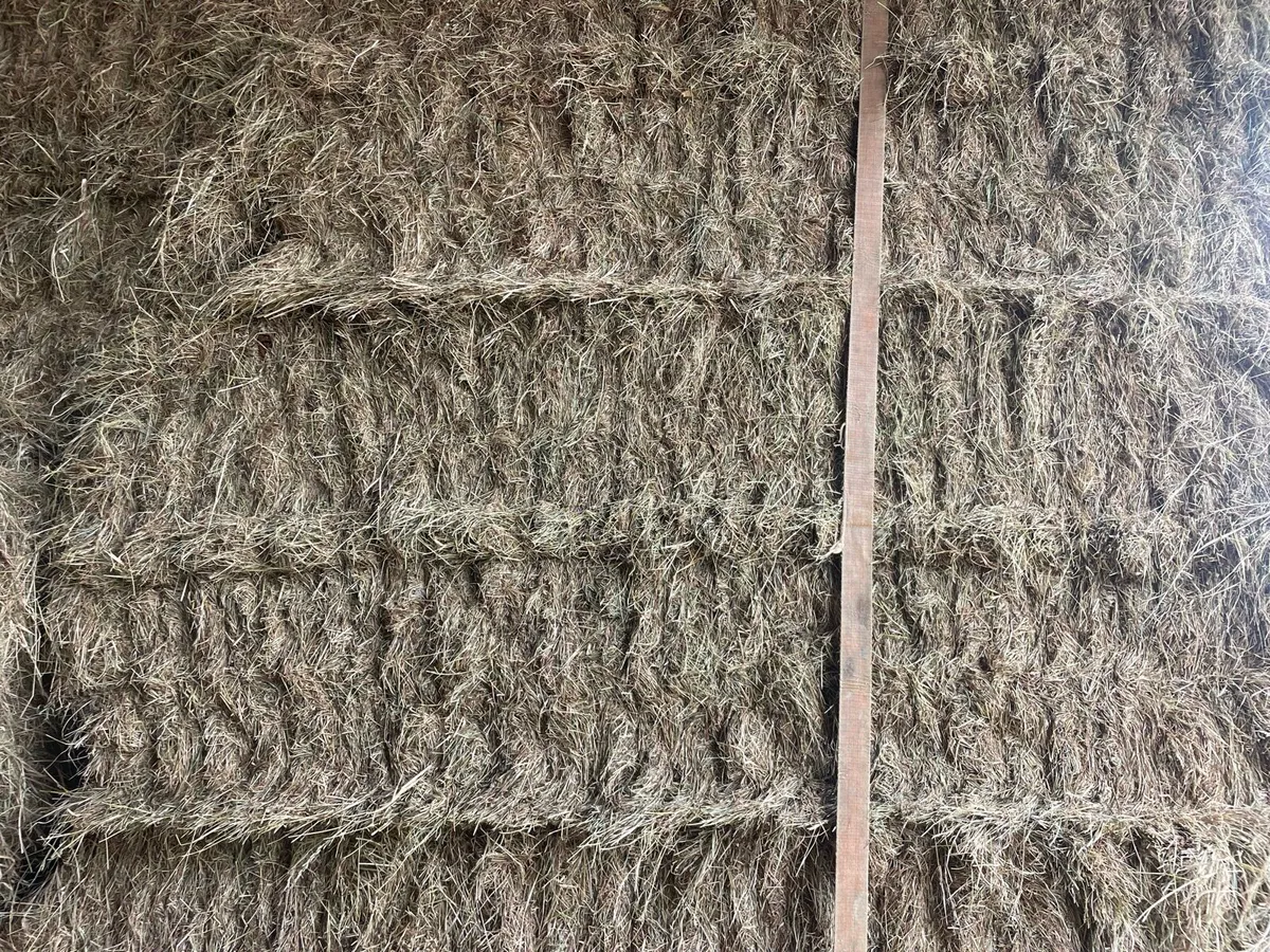 Top quality hay for sale - Image 1