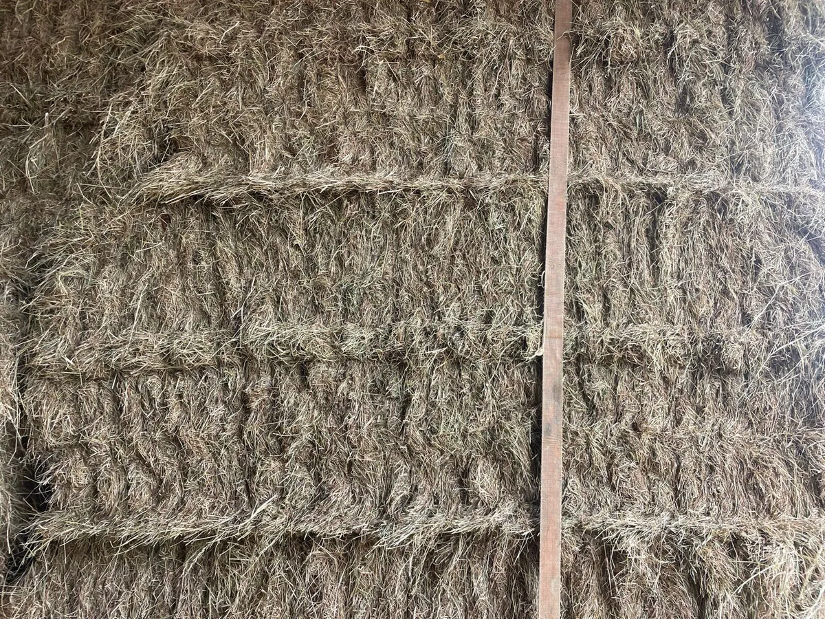 Top quality hay for sale - Image 2